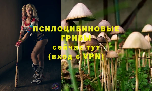 стафф Наволоки