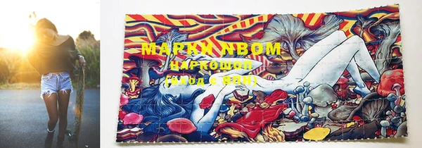 спайс Михайлов