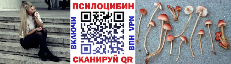 Галлюциногенные грибы Magic Shrooms  купить   Никольское 