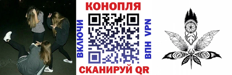 Бошки Шишки OG Kush  где купить наркоту  Никольское 
